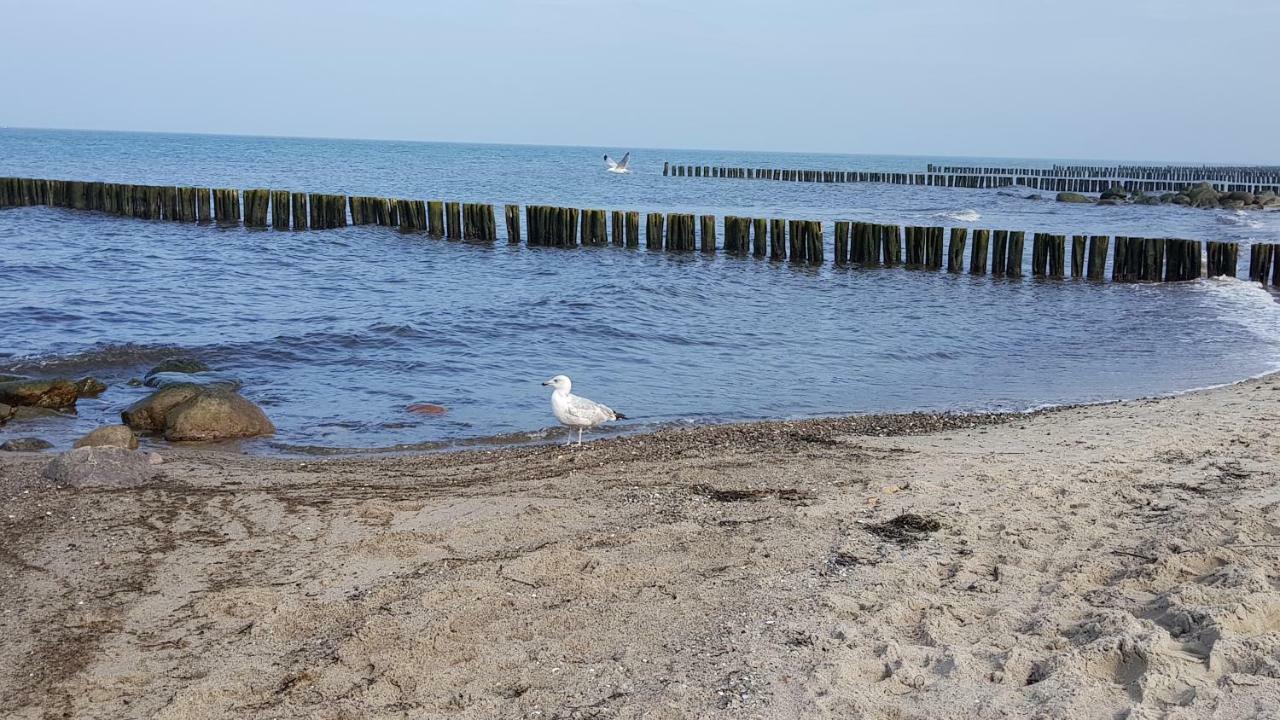 Fewo Valencia Am Rosenhof - 5 Sterne Dtv Ostseebad Kühlungsborn Exteriör bild